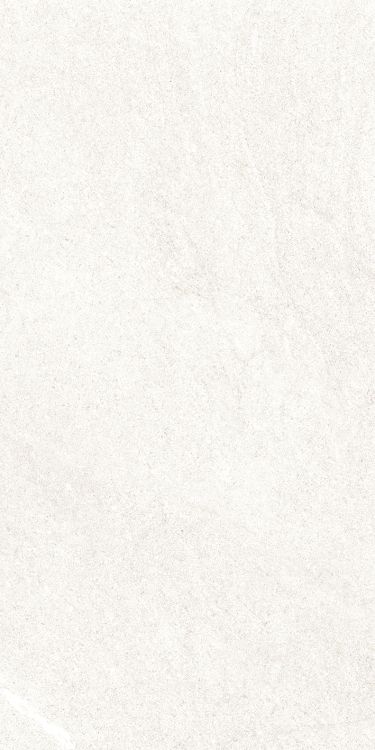 Dhara White Matte 12 x 24
